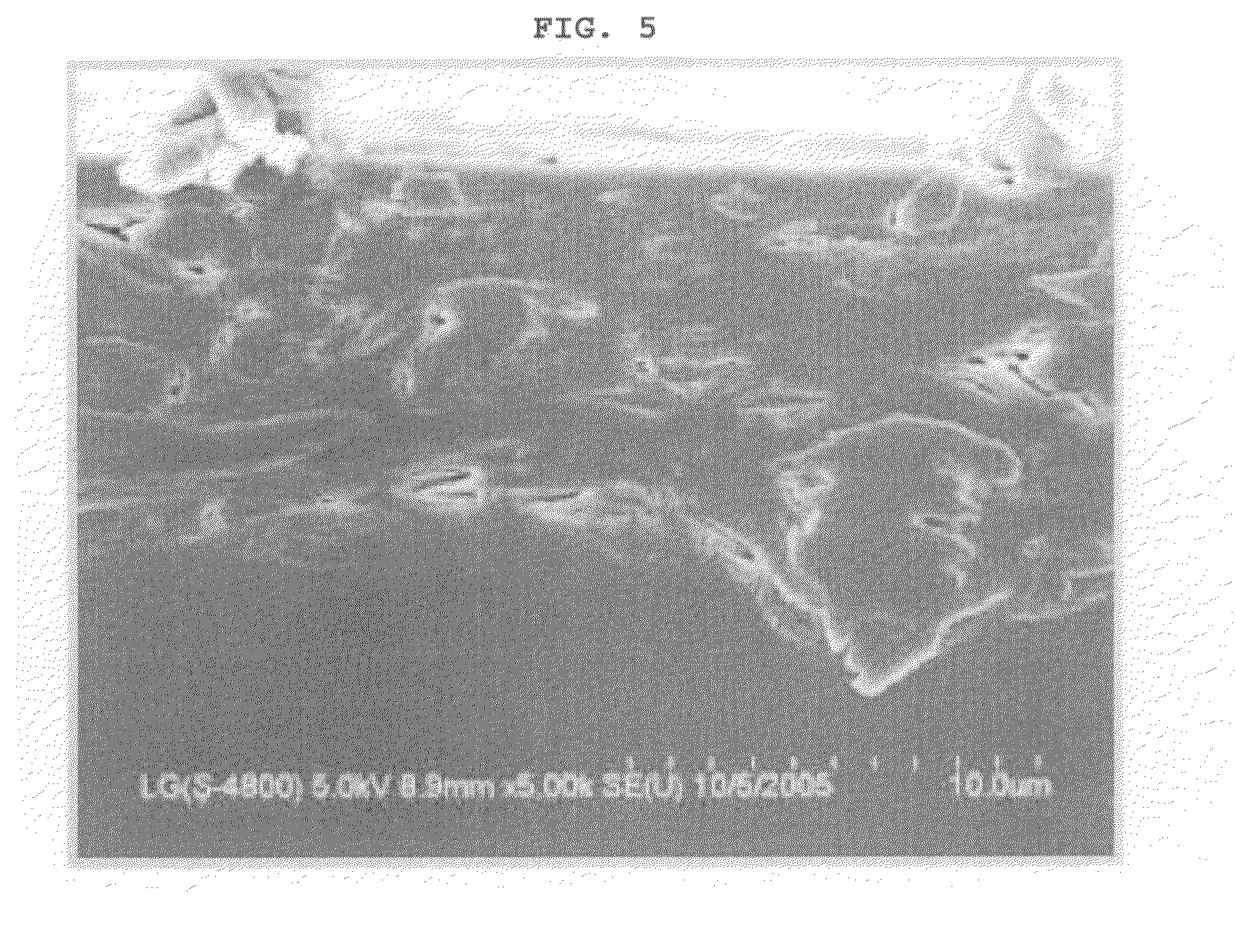 Reinforced composite electrolyte membrane for fuel cell