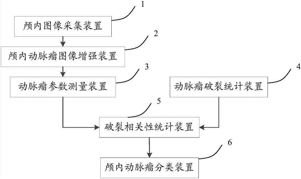 Intracranial aneurism rupture risk assessment and image classification apparatus