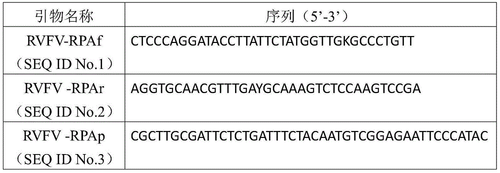 Primer and probe for detecting rift valley fever virus