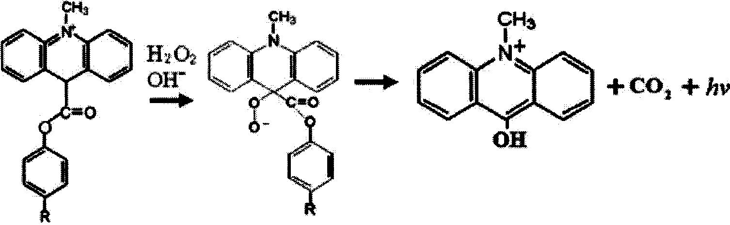 Chemiluminescence detection kit based on corpuscle