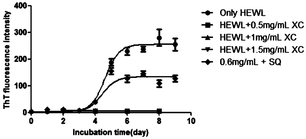 Application of snow tea extract to preparation of medicine for preventing and treating zymloid protein diseases