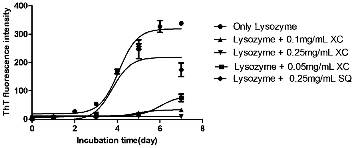 Application of snow tea extract to preparation of medicine for preventing and treating zymloid protein diseases