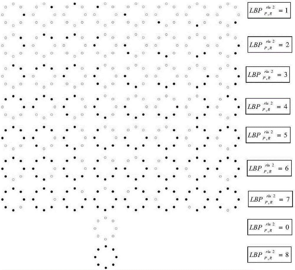 Improved compressed sensing-based face recognition method