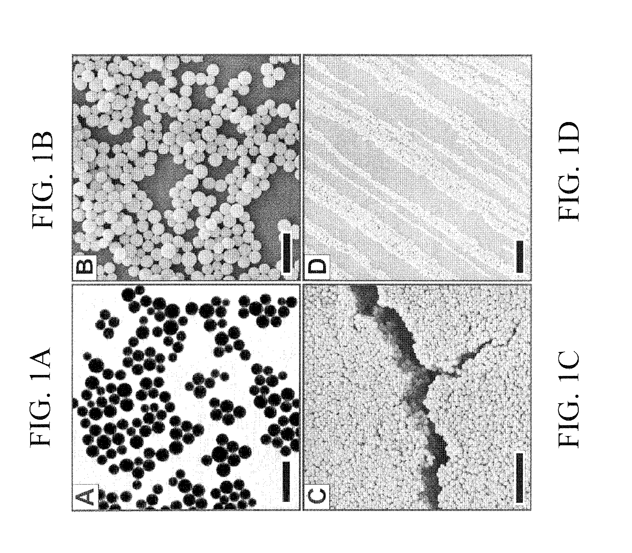 Supercrystalline Colloidal Particles and Method of Production