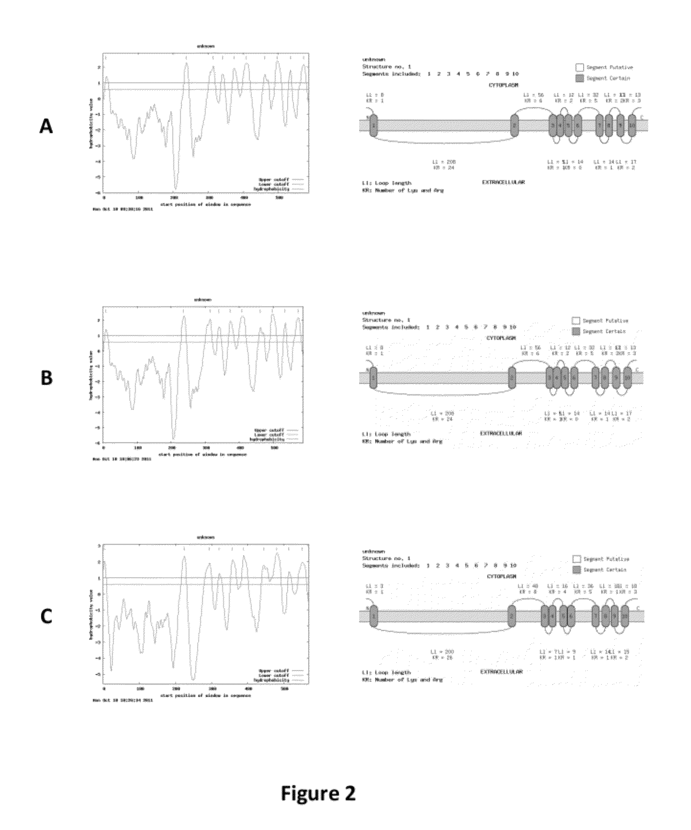 Method and a Kit To Detect Malignant Tumors and Provide a Prognosis