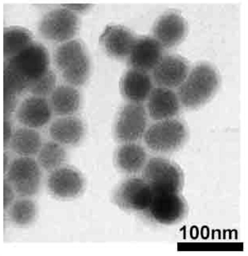 Nano lubricant for drilling fluid as well as preparation method and application of nano lubricant