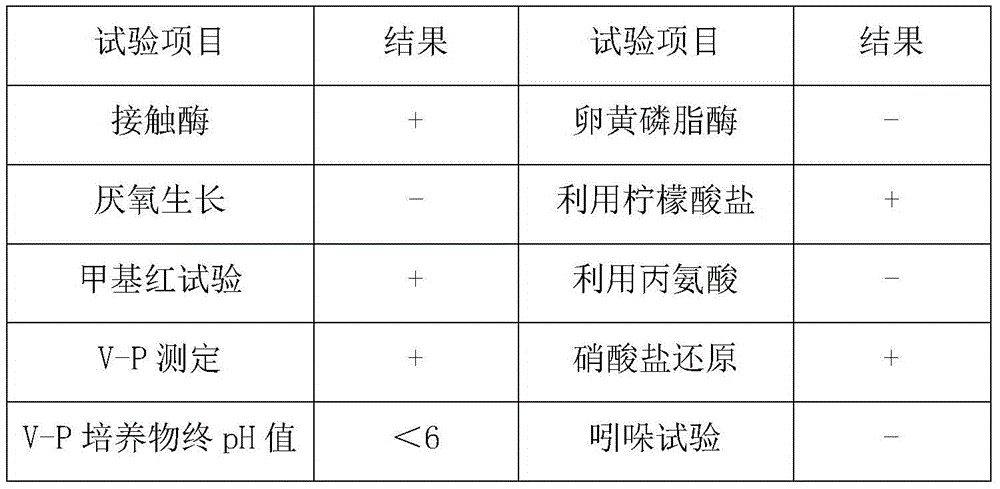 Bacillus subtilis, fermentation method, powder and application