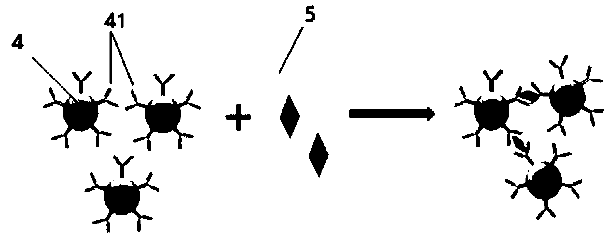 Homogeneous joint detection reagent and method based on immunoturbidimetry and afterglow luminescence