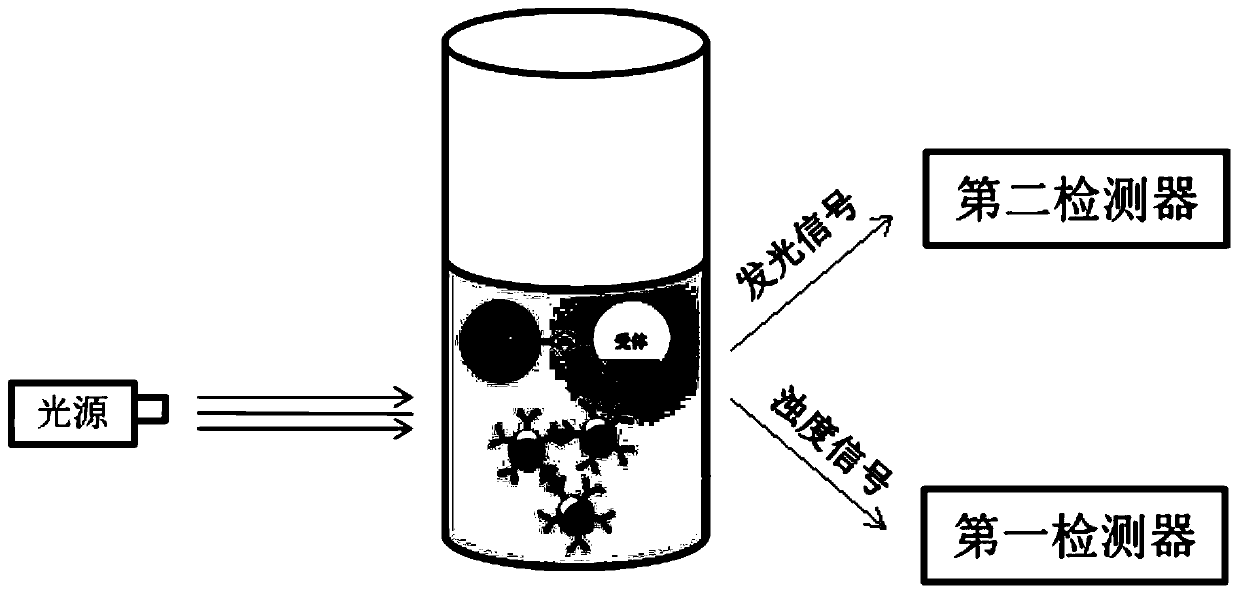 Homogeneous joint detection reagent and method based on immunoturbidimetry and afterglow luminescence