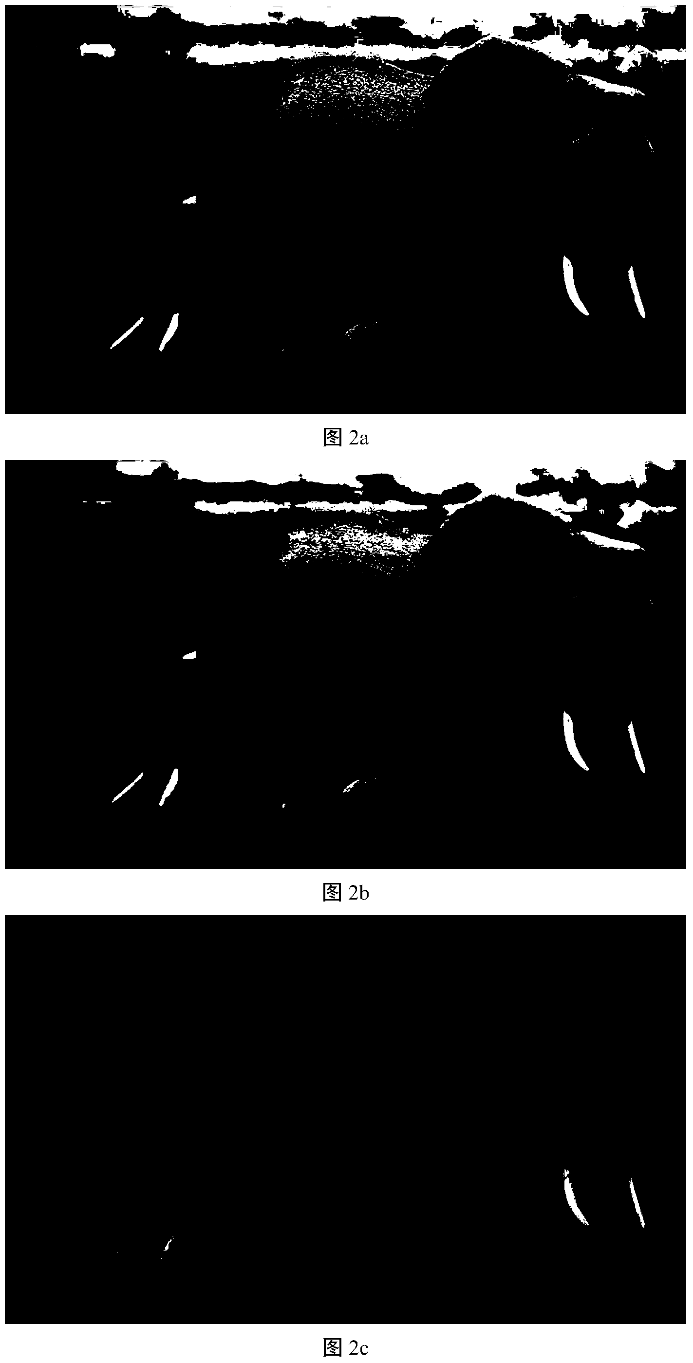 Image color cast correction method based on channel gain coefficient weighting