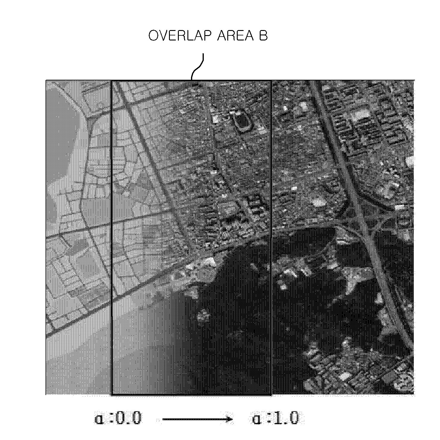 Navigation system and method for displaying map on navigation system