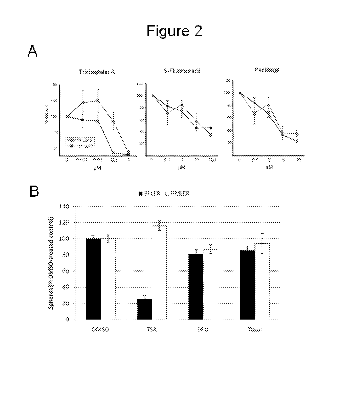 Markers for and methods of targeting tumor stem cells