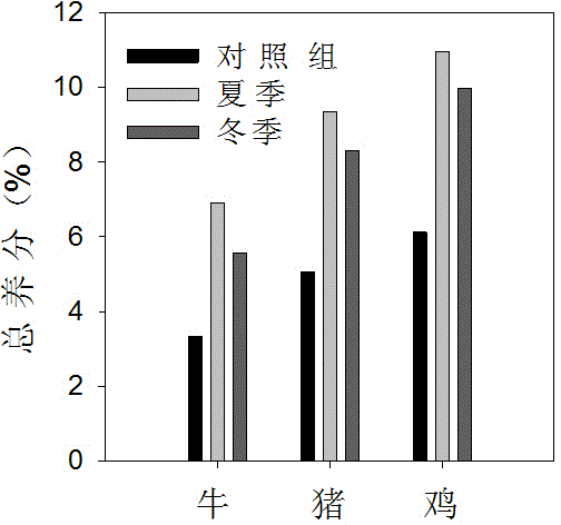 Preparation and application of complex microbial inoculants capable of fermenting livestock and poultry excrement effectively and quickly