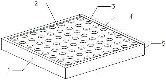 Photocatalyst sterilizing layer for air purifier