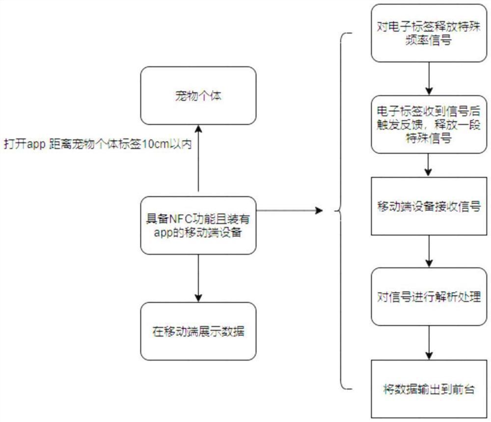 Pet information display system