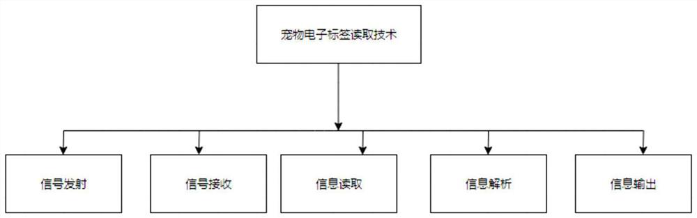 Pet information display system