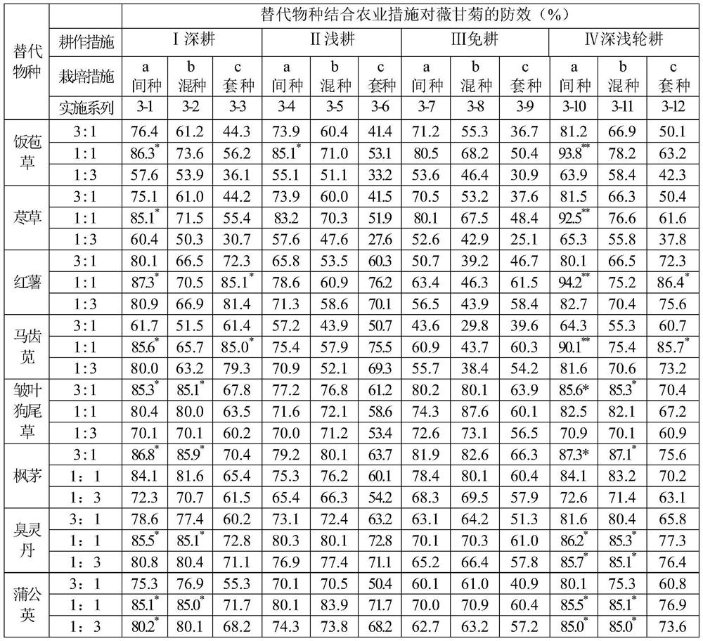 Orchard ecological control and restoration construction method based on allelopathy of mikania micrantha