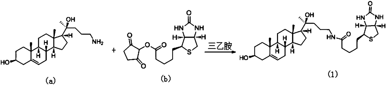 A kind of 20-hydroxycholesterol-biotin molecular probe and its preparation method and application