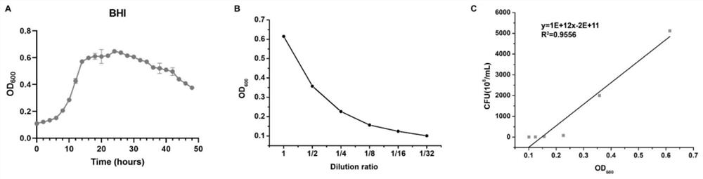 Co-culture method capable of culturing anaerobic strains and pig intestine epithelial cells