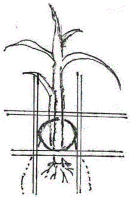 Sewage remediation method