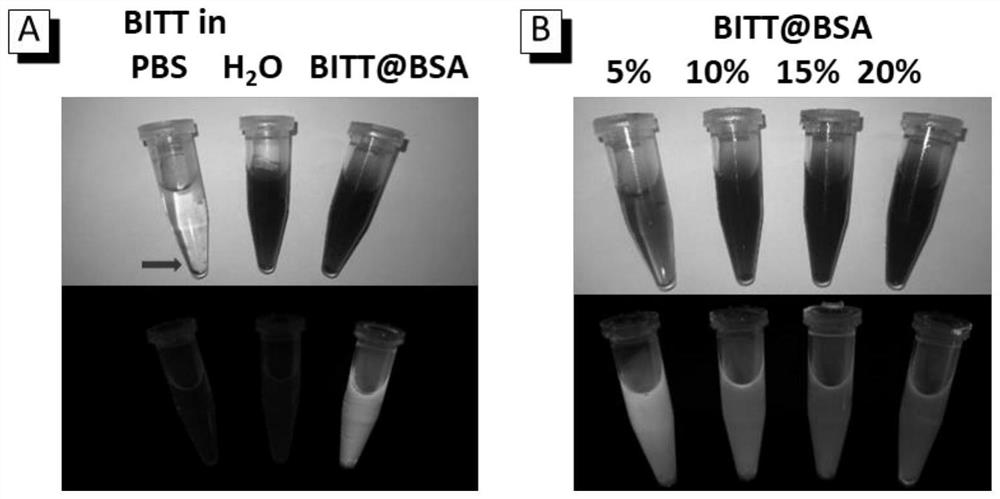 Nano material for light-enhanced chemotherapy and integrated tumor diagnosis and treatment as well as preparation method and application of nano material