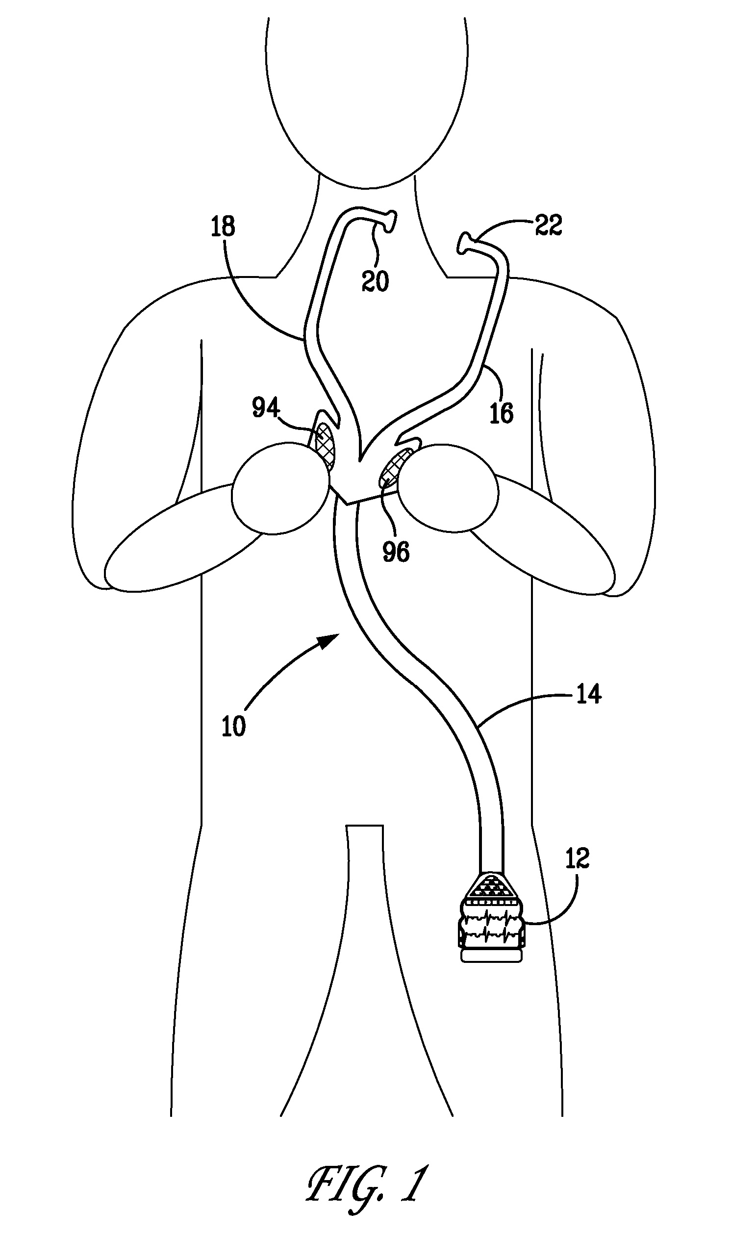 Medical examination apparatus