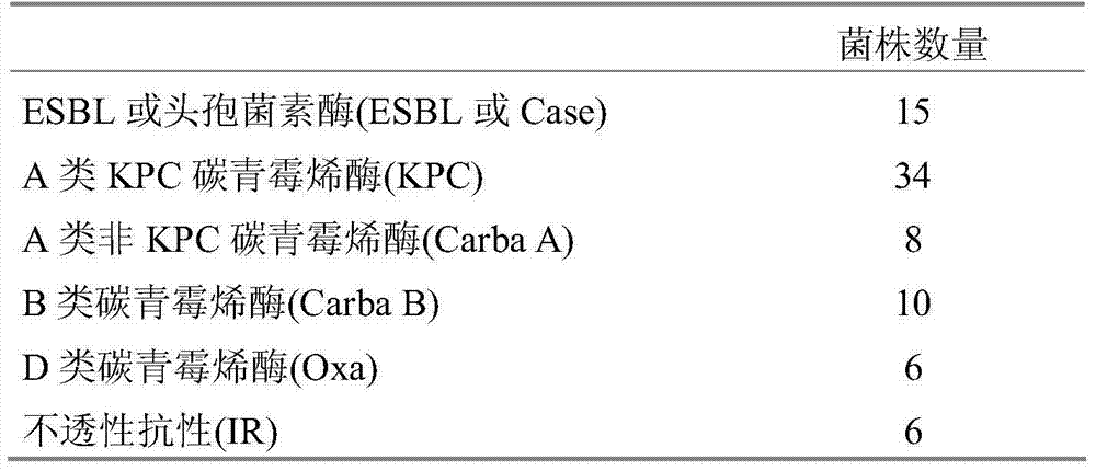 Detection of bacteria having a resistance to carbapenems