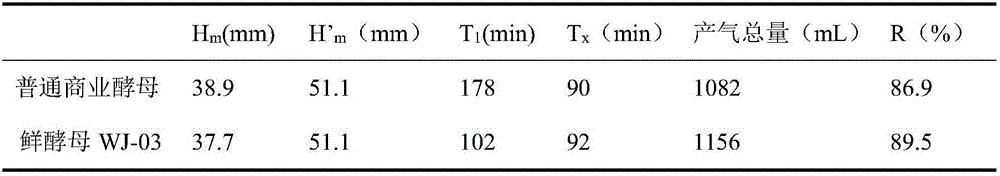 Saccharomyces cerevisiae strain and application thereof