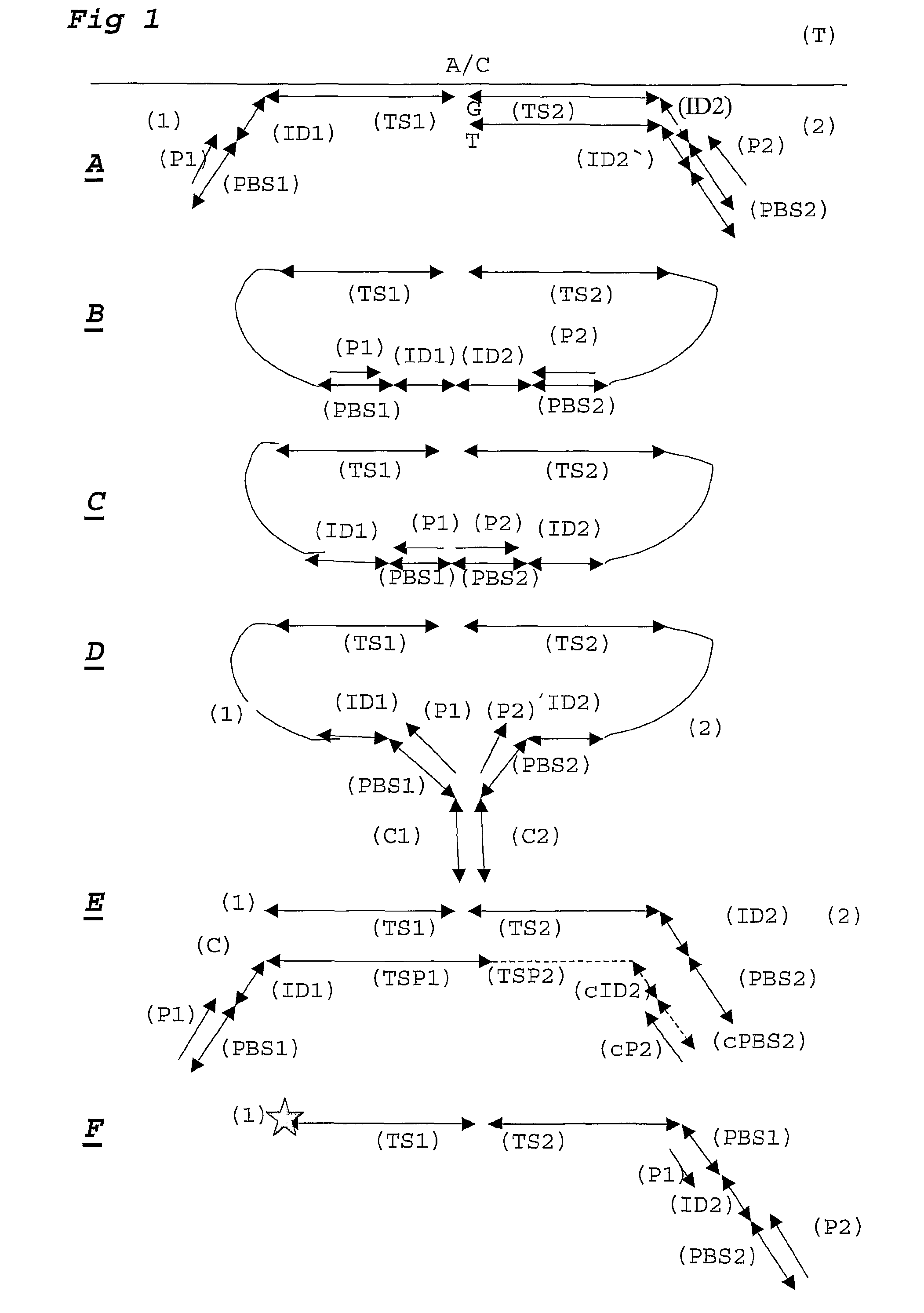 High throughput sequence-based detection of SNPs using ligation assays