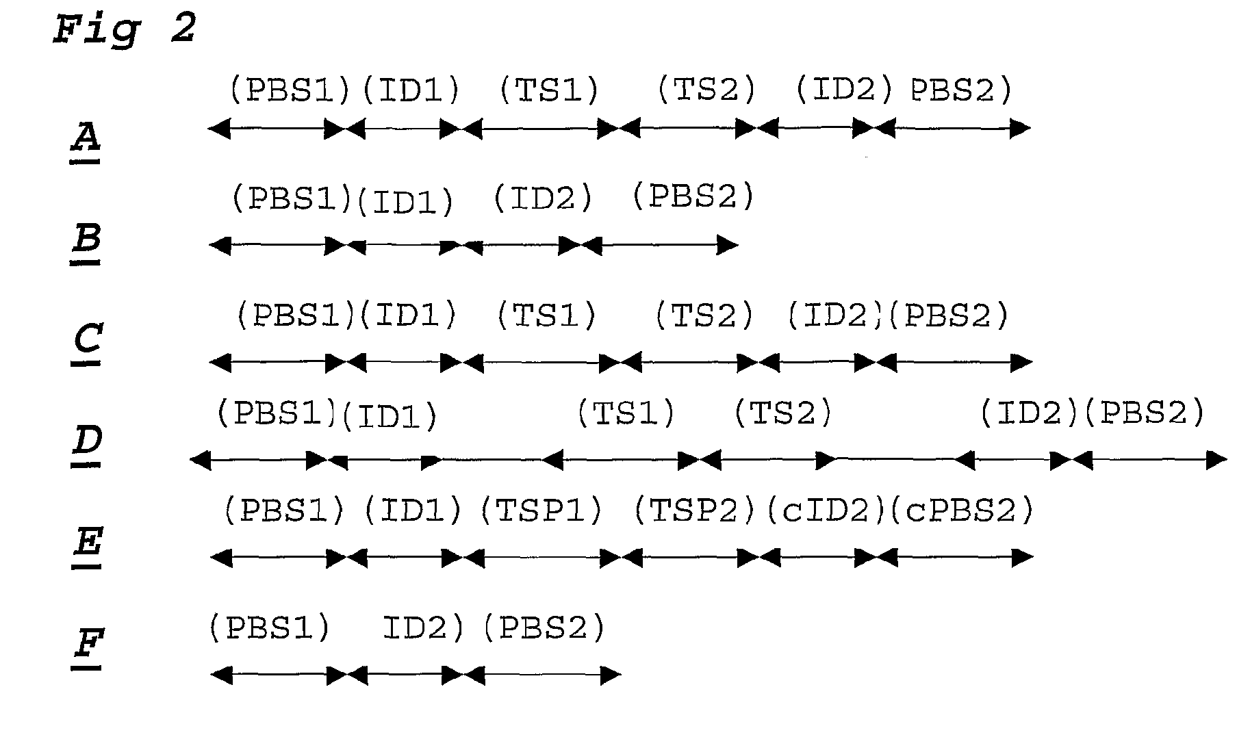 High throughput sequence-based detection of SNPs using ligation assays