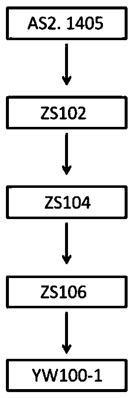 Yarrowia lipolytica YW100-1 and application thereof