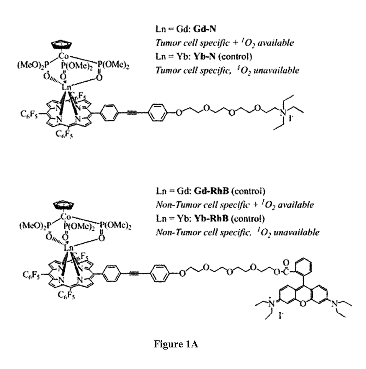 Multi-modal bioprobe for bladder cancer imaging and photodynamic therapy