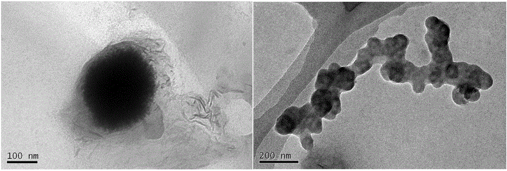 Preparation method and application of suspension type material of starch modified nanoscale zero-valent iron