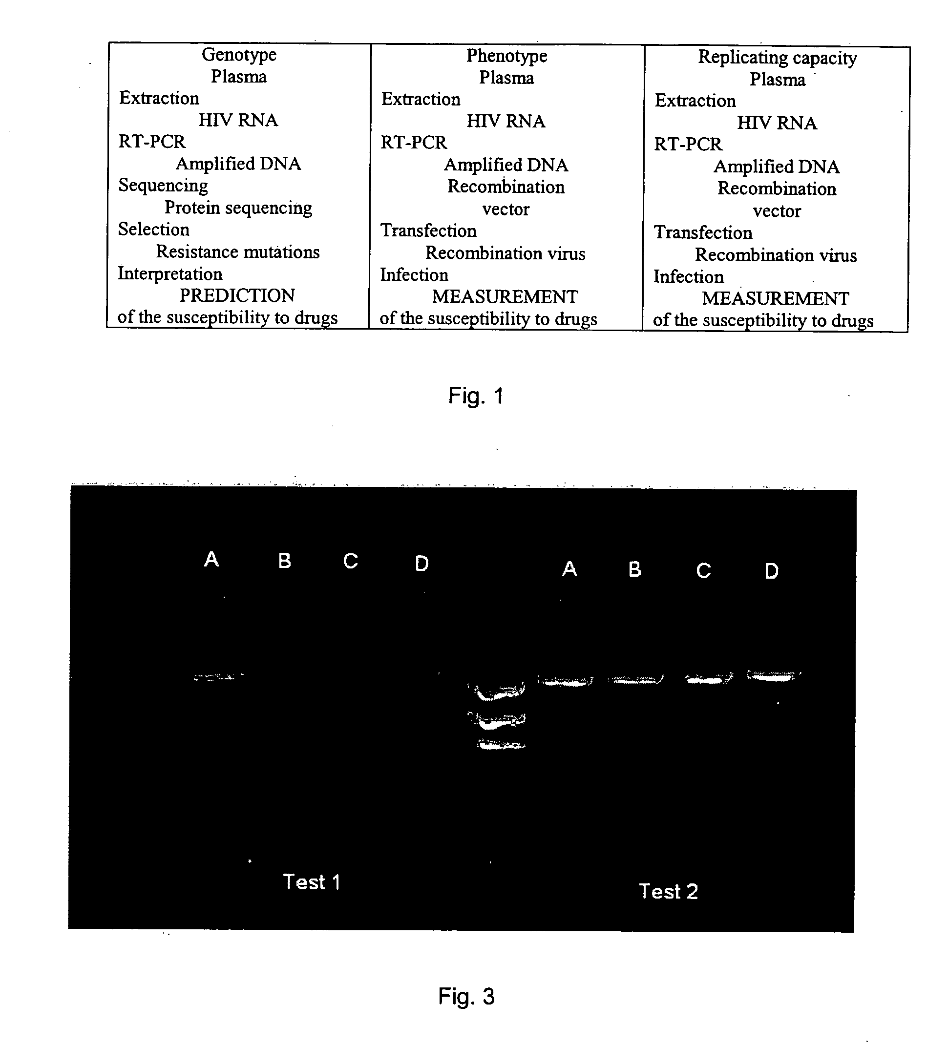 Method for study of the genetic and functional variability of HIV and kit for using it