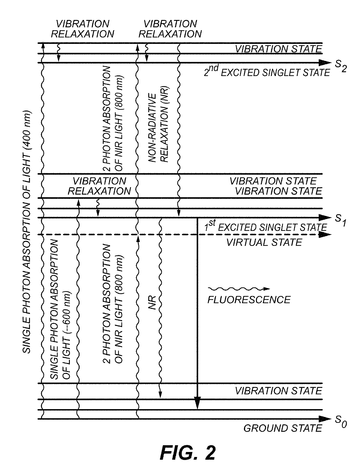 Method of deep tissue imaging using multi-photon excitation of a fluorophore