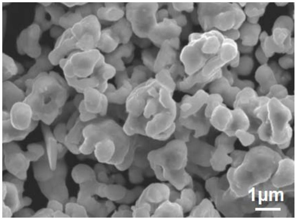 Preparation method of manganese-cobalt spinel coating and application of preparation method