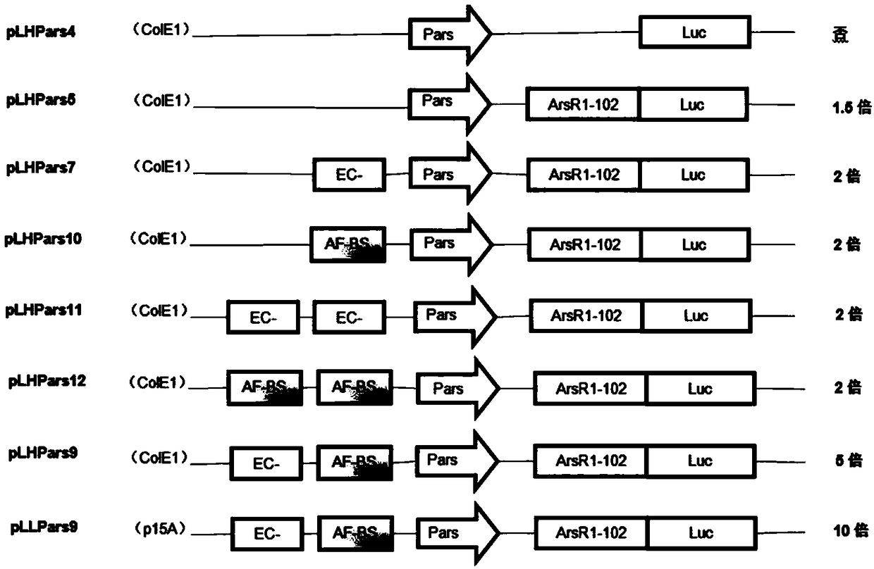 Arsenite inhibitory factor reporter gene plasmids, construction method and application thereof