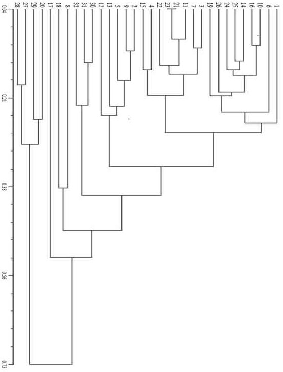 The ssr primer set developed based on the okra transcriptome sequence and its application