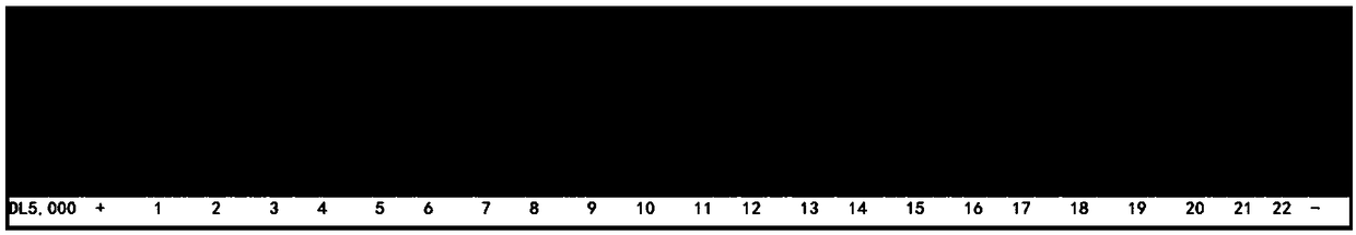 Establishment and application of novel HIV-1 drug resistance detection method