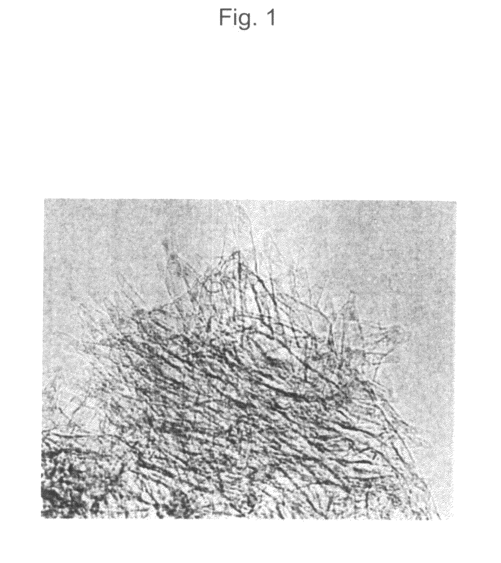 Carbon Nanohorn Carried Material And Process For Producing Carbon Nanotube