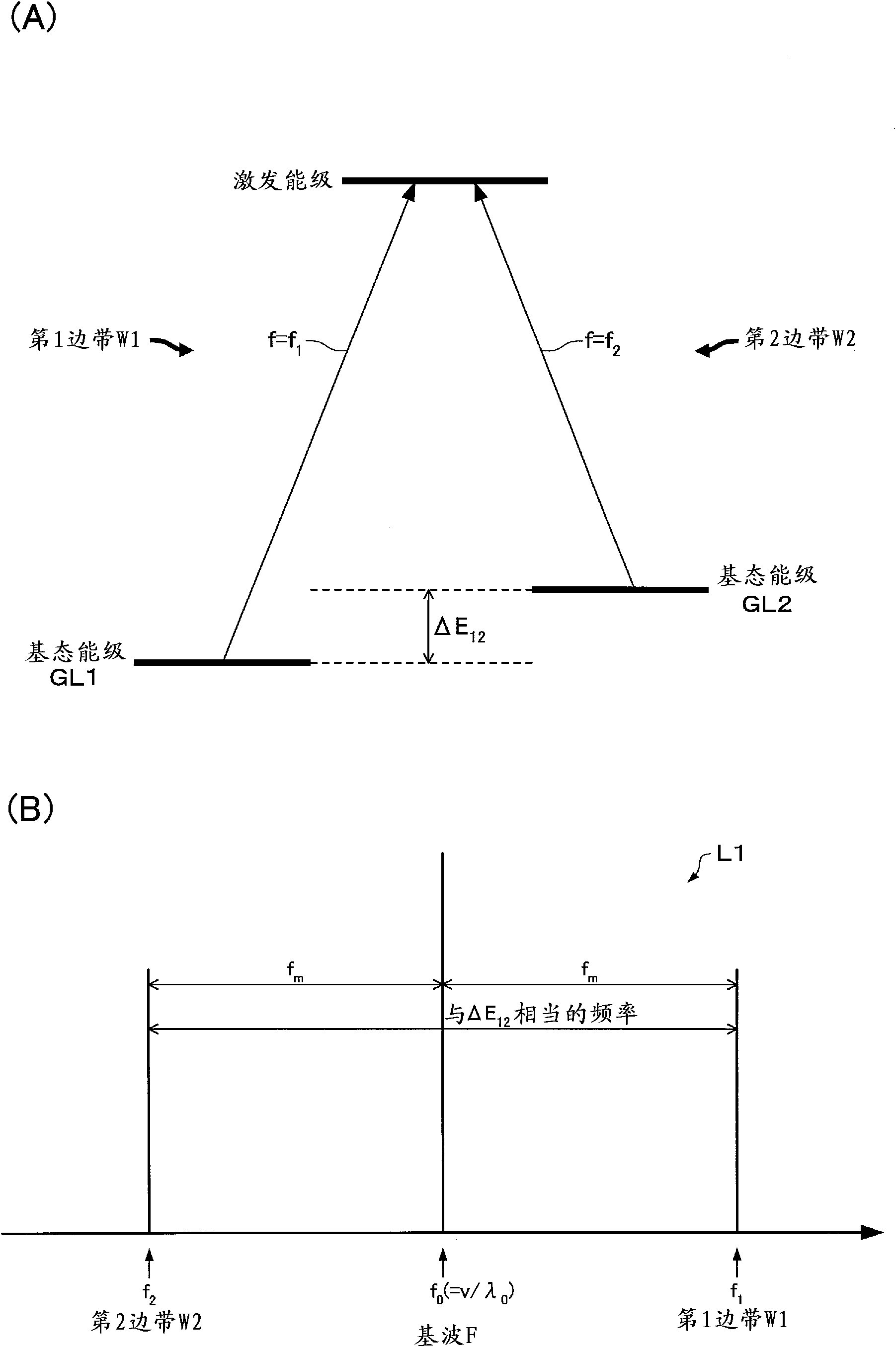 Optical module for atomic oscillator and atomic oscillator