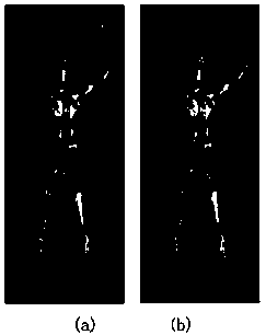 Millimeter-wave image foreign matter detection method based on block mixture Gaussian low-rank matrix decomposition