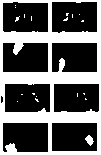 Millimeter-wave image foreign matter detection method based on block mixture Gaussian low-rank matrix decomposition