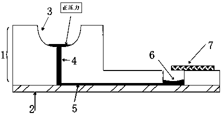 Automatic microfluid sample introduction device capable of realizing unpowered sequential sample introduction and application thereof