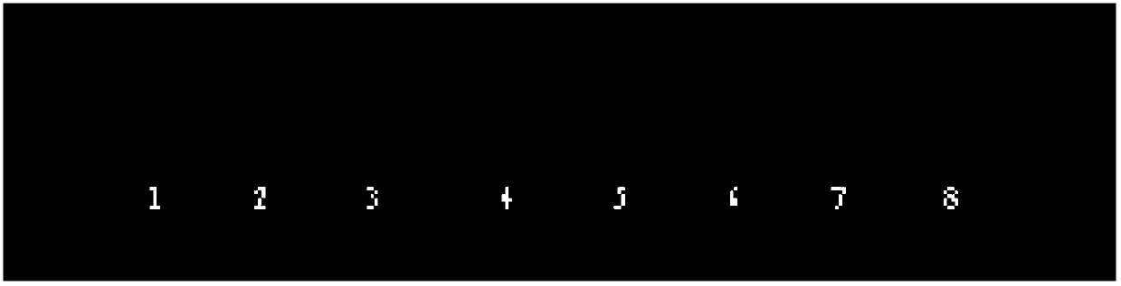 Fluorescence in situ hybridization method of prunus mume chromosome