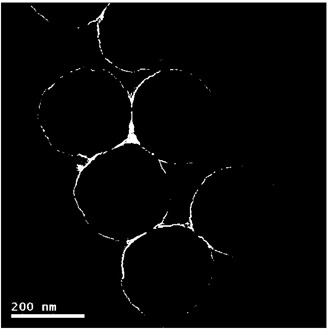 Preparation method for magnetic multiple-template steroid estrogen molecular imprinting nanospheres