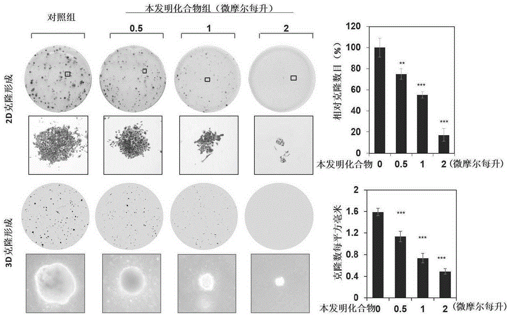 Benzotriazole compound, preparation method and medical application thereof