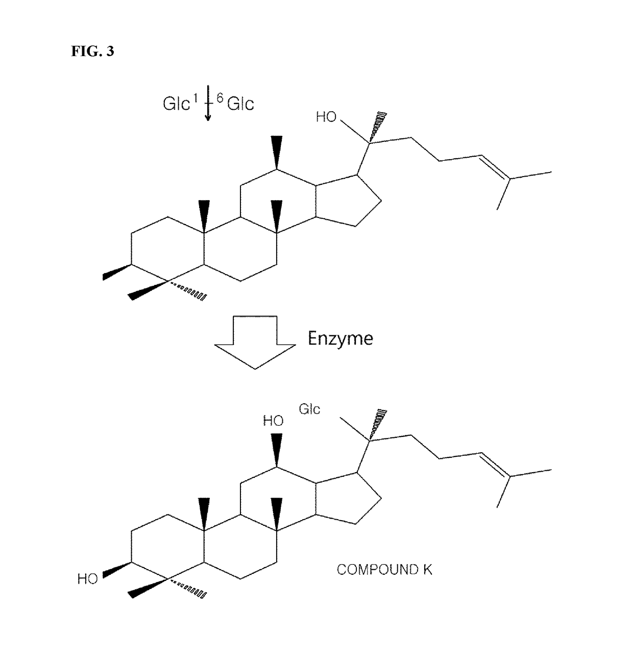 Composition containing saponins of panax ginseng as active ingredient