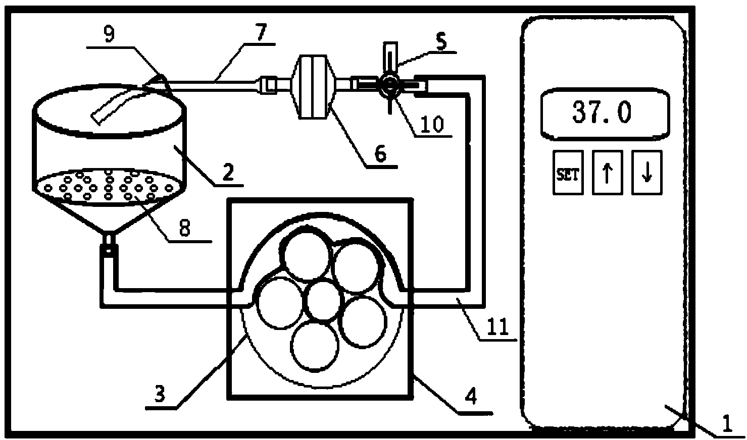 Experimental apparatus for in-vitro circulating perfusion and digestion of liver tissues