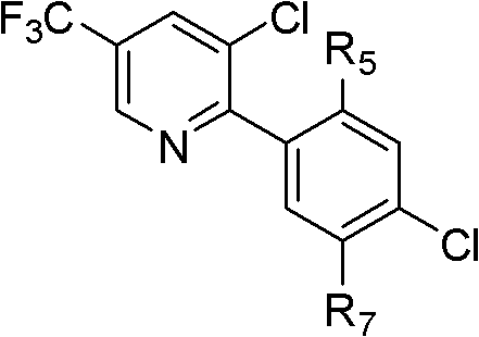 Substitutional biaryl base benzene sulfonamide compound and application